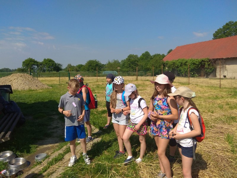 9.06.2021 Wyjazd do schroniska dla bezdomnych zwierząt